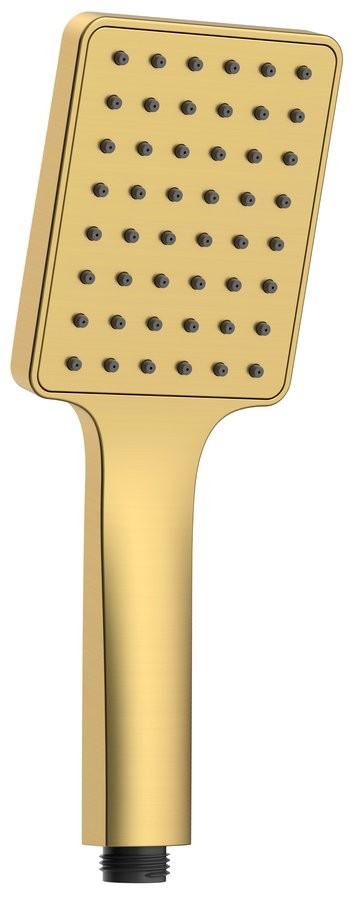 SAPHO Ruční sprcha, 245, ABS/zlato mat SK779GB