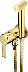 DEANTE - Arnika zlato - Bidetová baterie podomítková s bidetovou ruční sprchou (BQA_Z34M)
