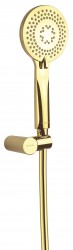 DEANTE - Arnika zlato - Sprchový set, s pevným držákem (NQA_Z41K)