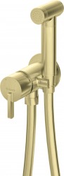 DEANTE - Silia kartáčovaná zlatá Bidetová baterie, podomítková, s bidetovou ruční sprchou (BQS_R34M)